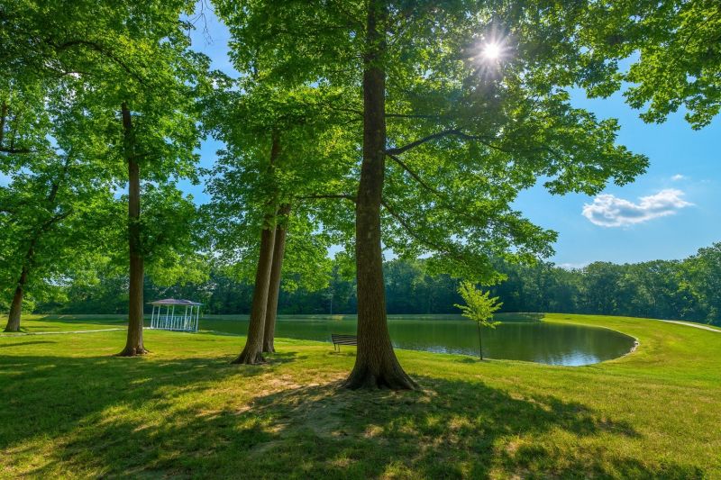 Best Shower Remodeling pros in Wright City, MO