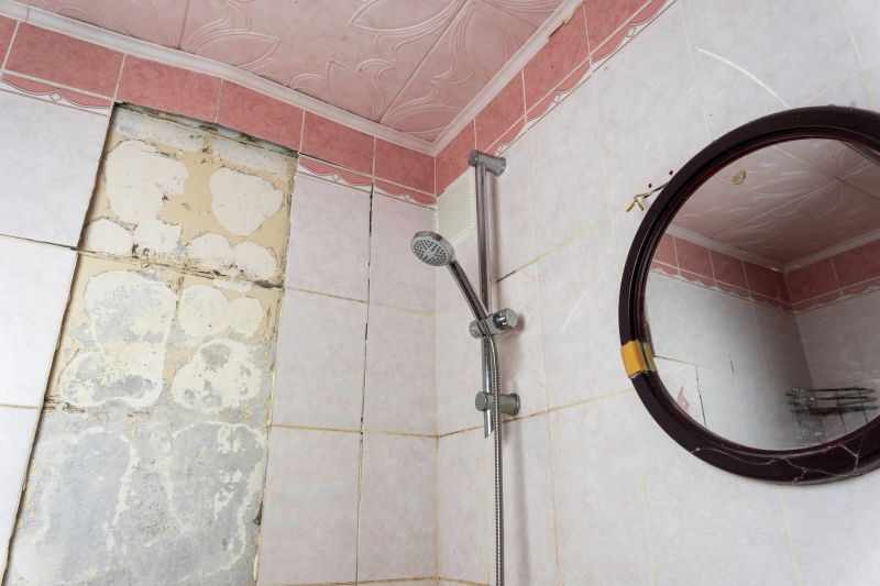 Top Shower Remodeling Companies in Maryland Heights, MO